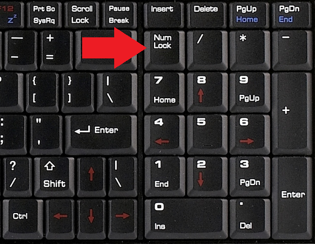 Вместо букв печатаются цифры: почему клавиатура неправильно работает...